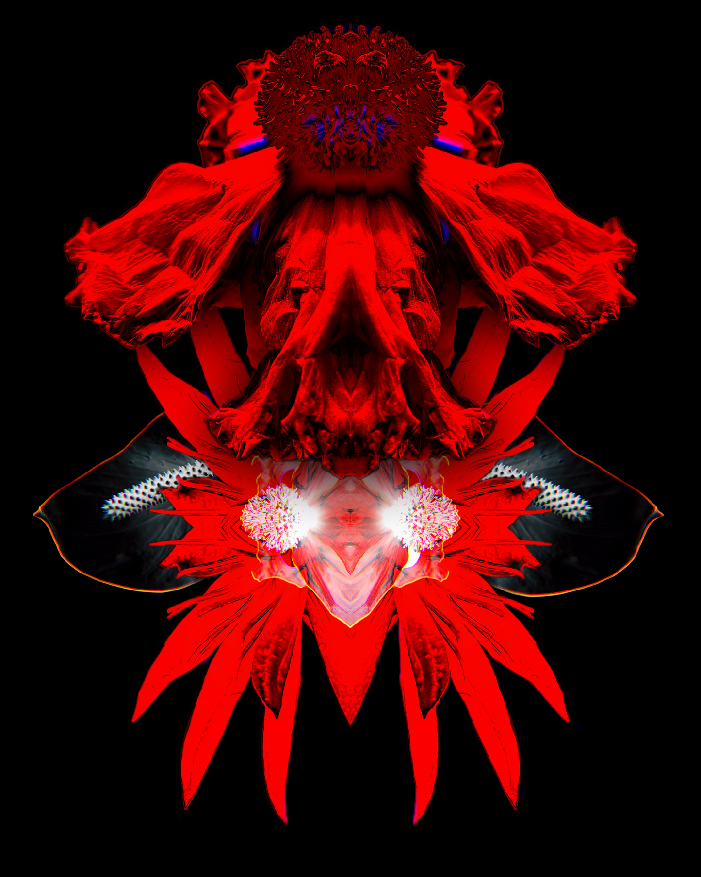 Flower Collage I - 8x10 Matted Print