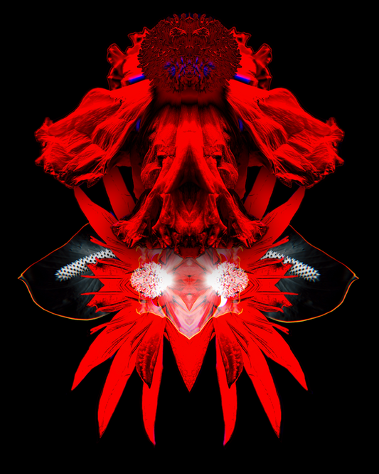 Flower Collage I - 8x10 Matted Print